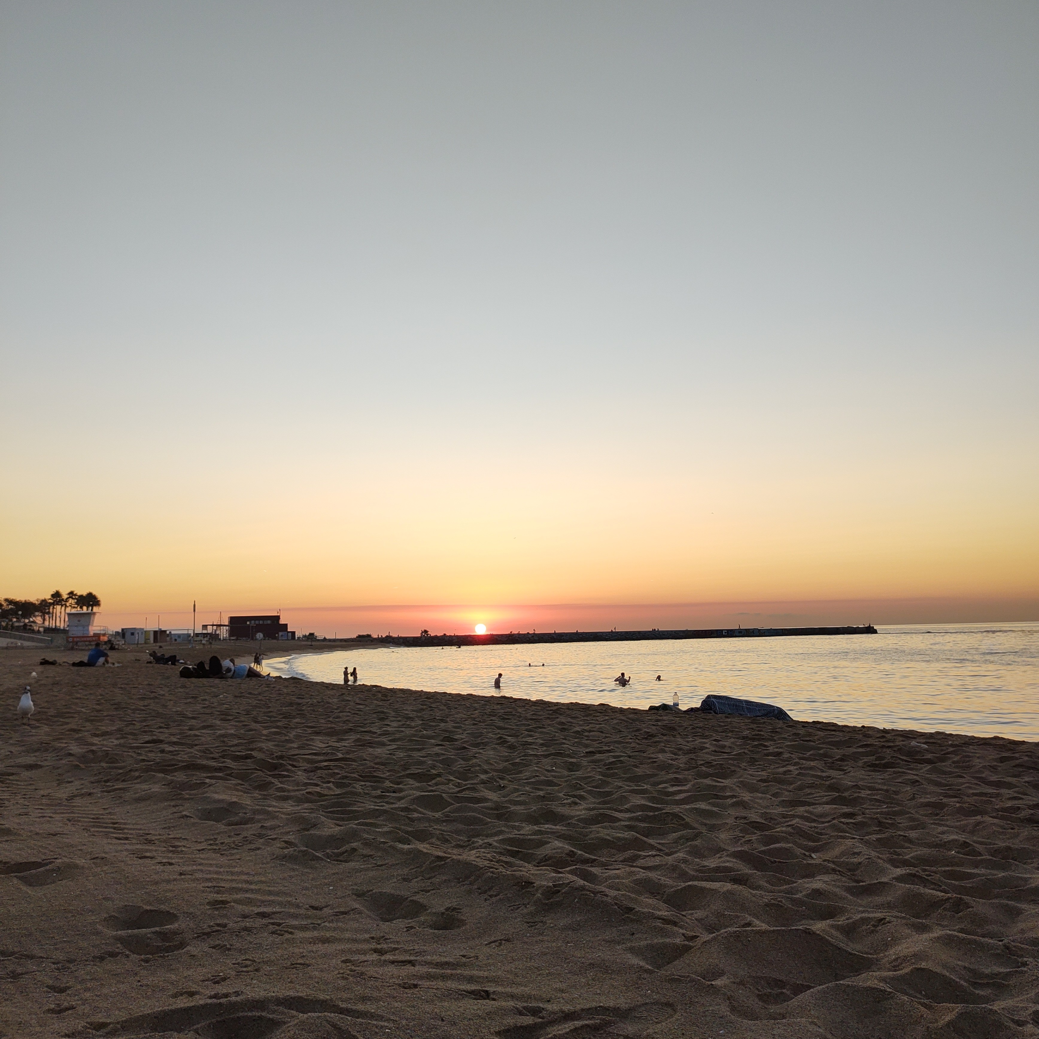 strand